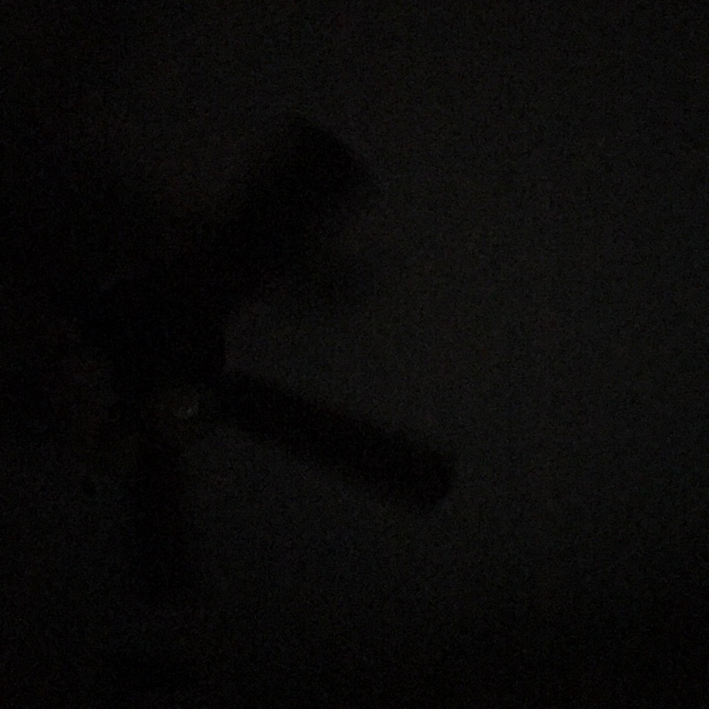 Meet your Posher, Bree